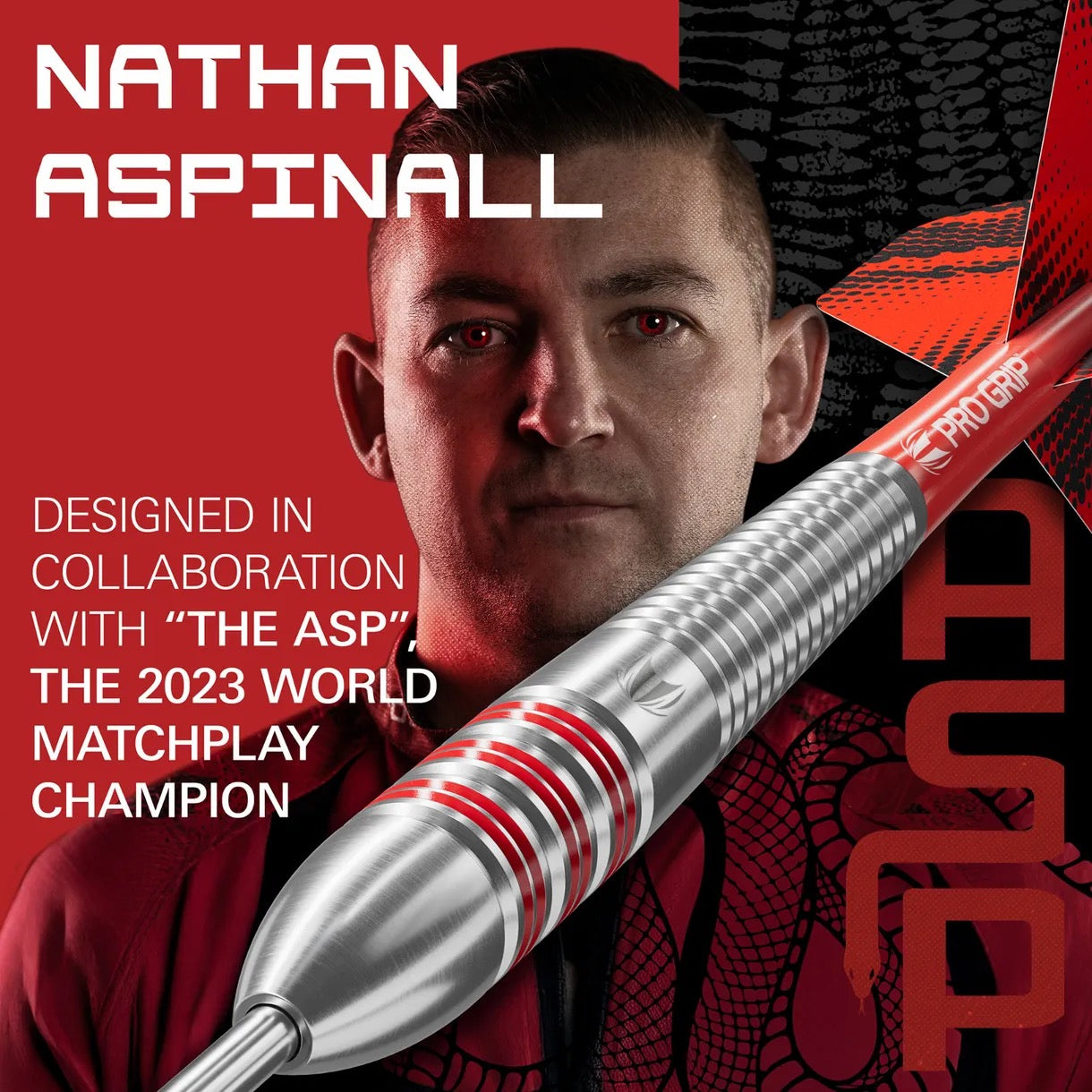 TARGET NATHAN ASPINALL THE ASP 22 PIECE BRASS DARTS SET