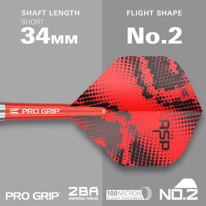 TARGET NATHAN ASPINALL THE ASP 22 PIECE BRASS DARTS SET