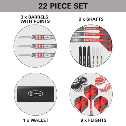 TARGET NATHAN ASPINALL THE ASP 22 PIECE BRASS DARTS SET