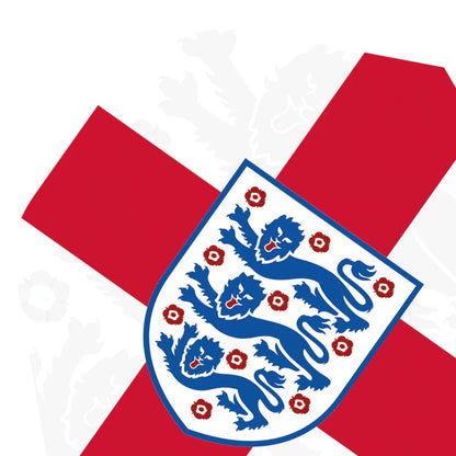 ENGLAND FOOTBALL DART FLIGHTS OFFICIAL LICENSED - 100 MICRON - NO2 - STD - F1 - ST GEORGE CROSS