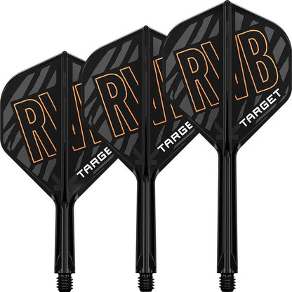 RAYMOND VAN BARNEVELD NO2 K-FLEX ONE PIECE DART FLIGHTS BY TARGET