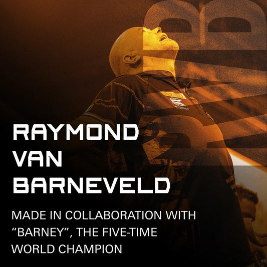 RAYMOND VAN BARNEVELD NO2 K-FLEX ONE PIECE DART FLIGHTS BY TARGET
