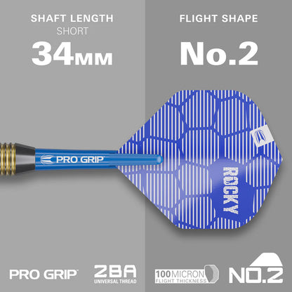 TARGET JOSH ROCK 22 PIECE DARTS SET 22G BRASS DARTS