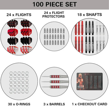 NEW TARGET STEPHEN BUNTING 100 PIECE BRASS DARTS SET